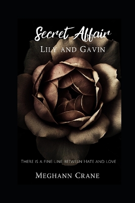 Book cover for Secret Affair