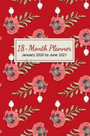 Cover of 18-Month Planner - January 2020 to June 2021