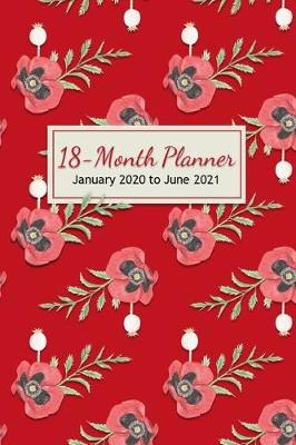 Book cover for 18-Month Planner - January 2020 to June 2021