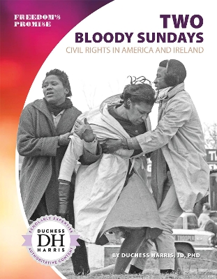 Book cover for Two Bloody Sundays