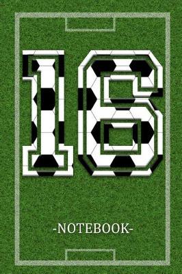 Book cover for Notebook 16