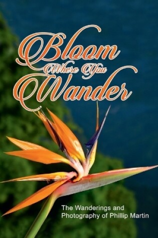 Cover of Bloom Where You Wander (matte cover)