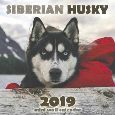 Book cover for The Siberian Husky 2019 Mini Wall Calendar