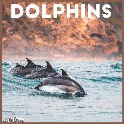 Book cover for Dolphins 2021 Wall Calendar