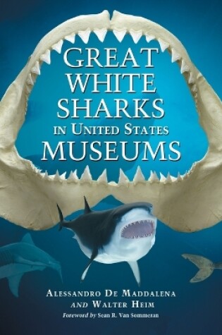 Cover of Great White Sharks in United States Museums