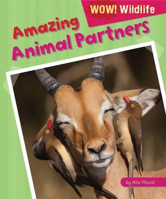 Book cover for Amazing Animal Partners