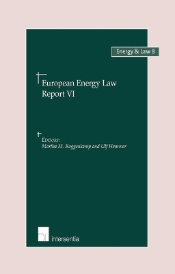 Book cover for European Energy Law Report VI