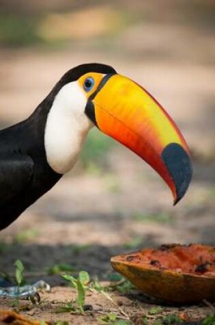 Cover of Toco Toucan Bird with a Papaya Snack Journal