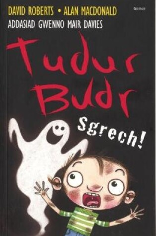 Cover of Tudur Budr: Sgrech!