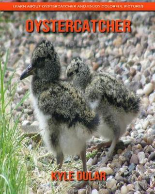 Book cover for Oystercatcher! Learn about Oystercatcher and Enjoy Colorful Pictures