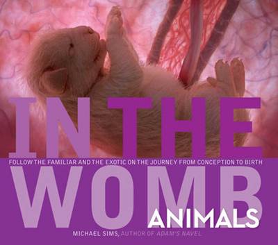 Book cover for In the Womb: Animals