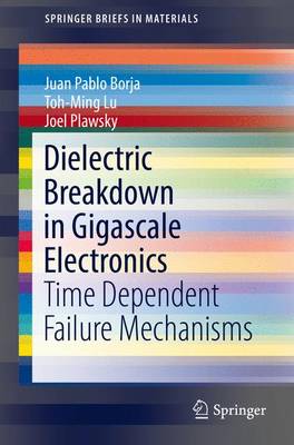 Book cover for Dielectric Breakdown in Gigascale Electronics