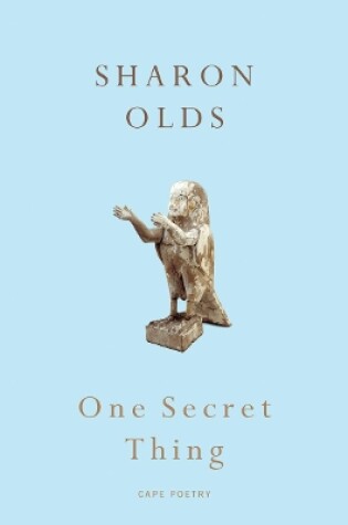 Cover of One Secret Thing