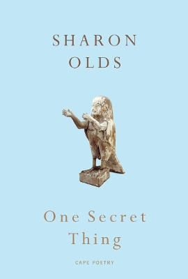 Book cover for One Secret Thing