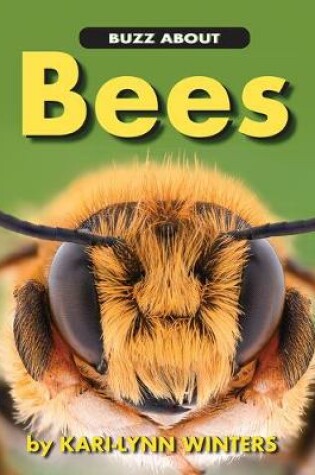 Cover of Buzz about Bees