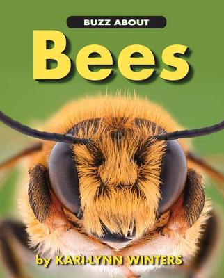 Book cover for Buzz about Bees