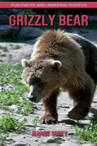 Cover of Grizzly bear