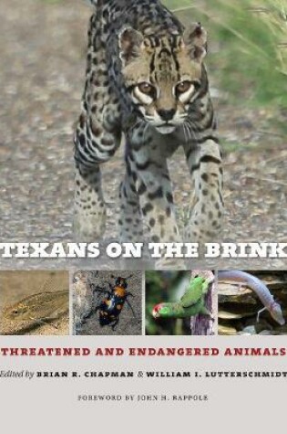 Cover of Texans on the Brink