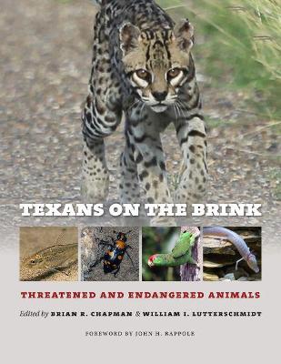 Cover of Texans on the Brink