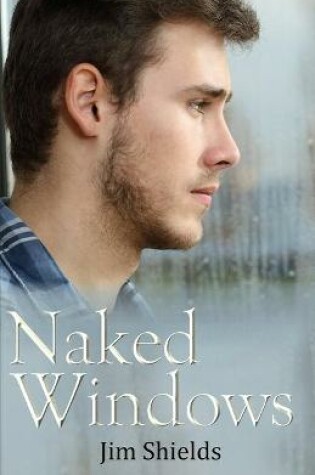 Cover of Naked Windows
