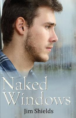 Book cover for Naked Windows