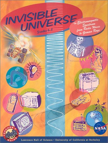 Book cover for Invisible Universe