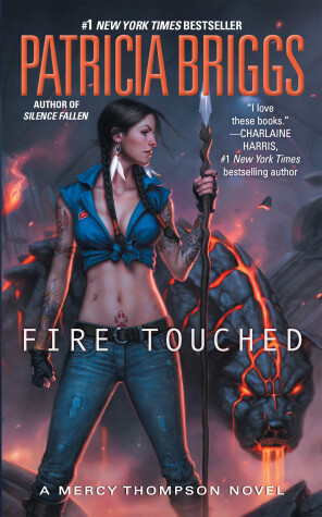Cover of Fire Touched