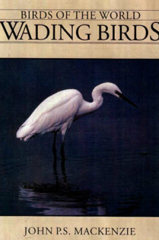 Cover of Wading Birds