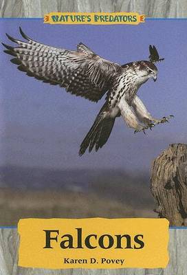 Book cover for Falcons