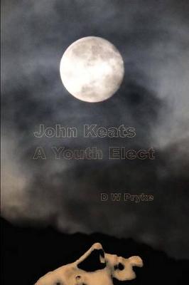 Book cover for John Keats - A Youth Elect
