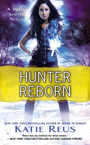 Book cover for Hunter Reborn