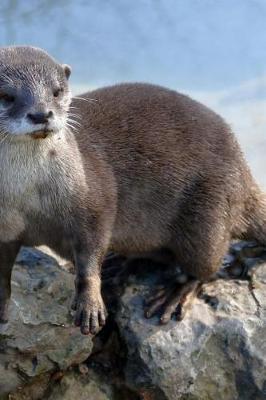 Book cover for Cute Otter on the Rocks Journal