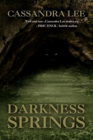 Cover of Darkness Springs