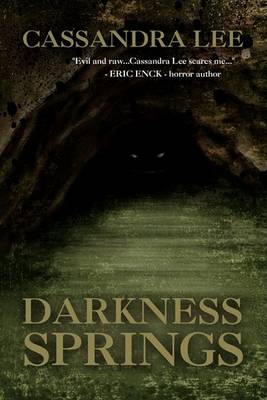 Book cover for Darkness Springs