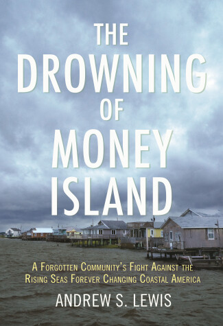 Book cover for The Drowning of Money Island