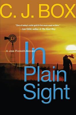 Book cover for In Plain Sight