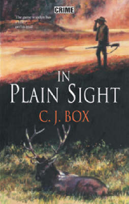 Cover of In Plain Sight