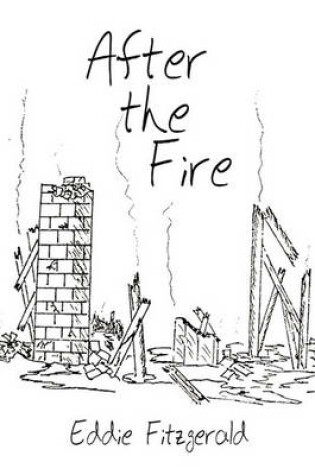 Cover of After the Fire