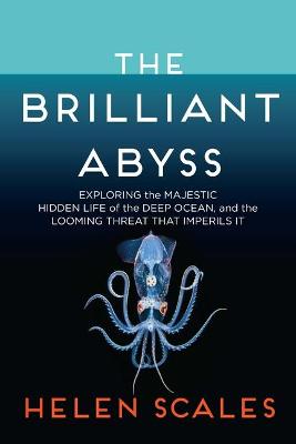 Book cover for The Brilliant Abyss