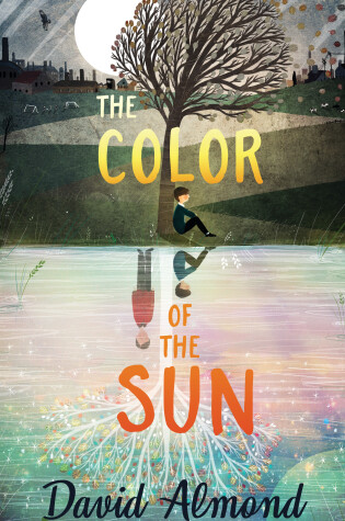 Cover of The Color of the Sun