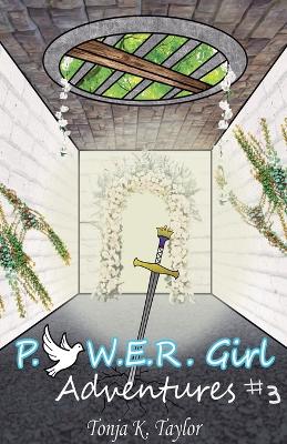 Cover of P..O.W.E.R. Girl Adventures #3