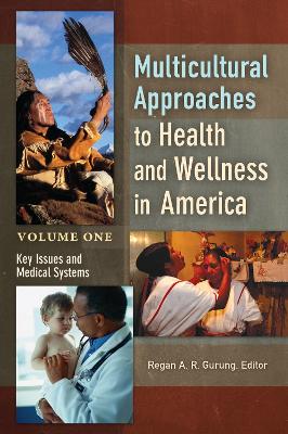 Book cover for Multicultural Approaches to Health and Wellness in America