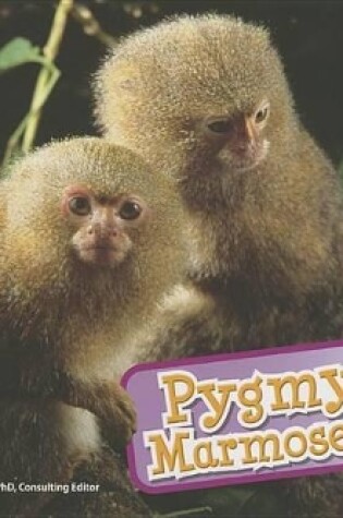 Cover of Pygmy Marmosets