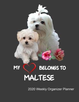 Book cover for My Heart Belongs To Maltese 2020 Weekly Organizer Planner