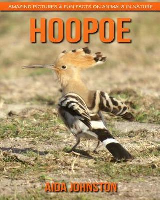 Book cover for Hoopoe