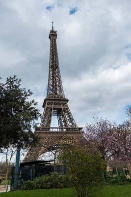 Book cover for Eiffel Tower in the Day (Paris, France)