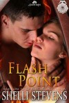 Book cover for Flash Point