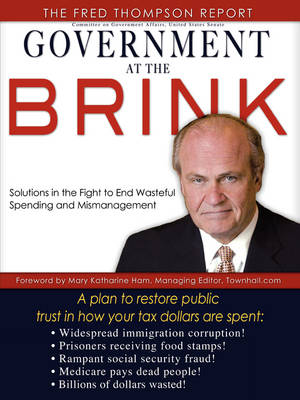 Book cover for Government at the Brink