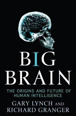 Book cover for Big Brain