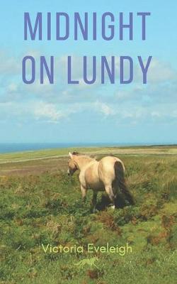 Book cover for Midnight on Lundy